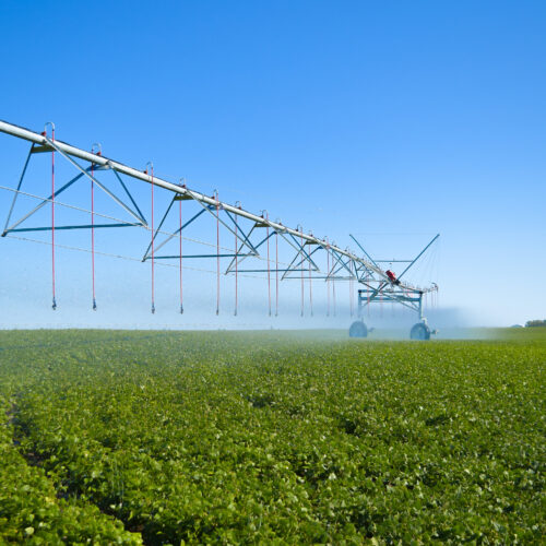 Pivot irrigation