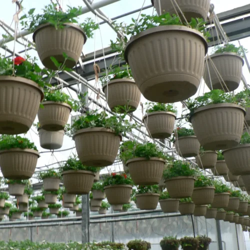 Netafim Hanging Basket System